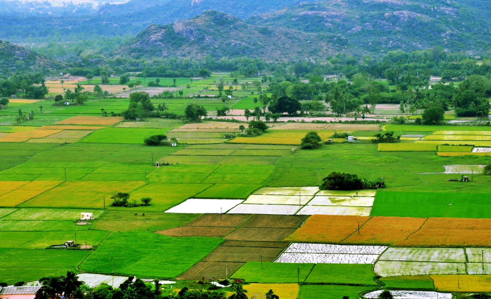 खेतीबाड़ी किसान और आत्मनिर्भरता